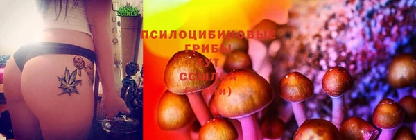 мефедрон мука Каменск-Шахтинский