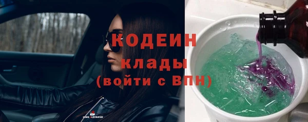спиды Каменногорск