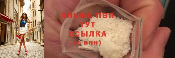 спиды Каменногорск