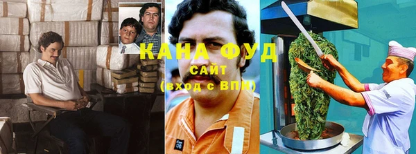 молекула духа Карпинск
