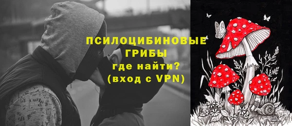 спиды Каменногорск