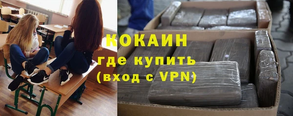 молекула духа Карпинск