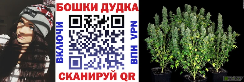 Бошки Шишки MAZAR  Купить где  Киселёвск 